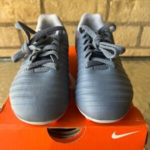 Nike Blue and White Sneakers Sleek Design